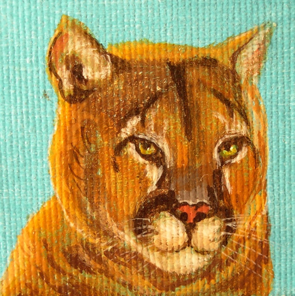 Kitty