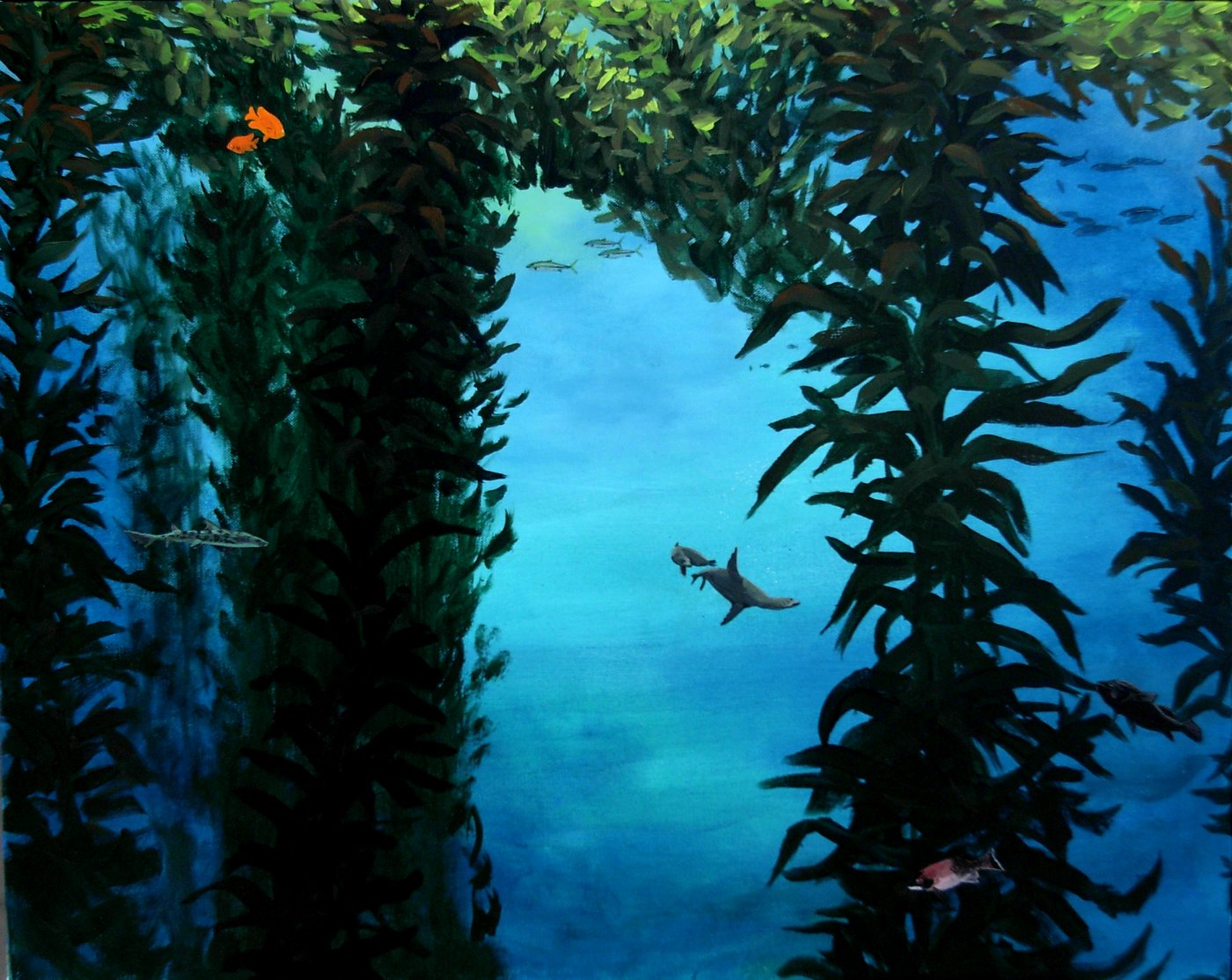 Kelp Forest Crystal Cove