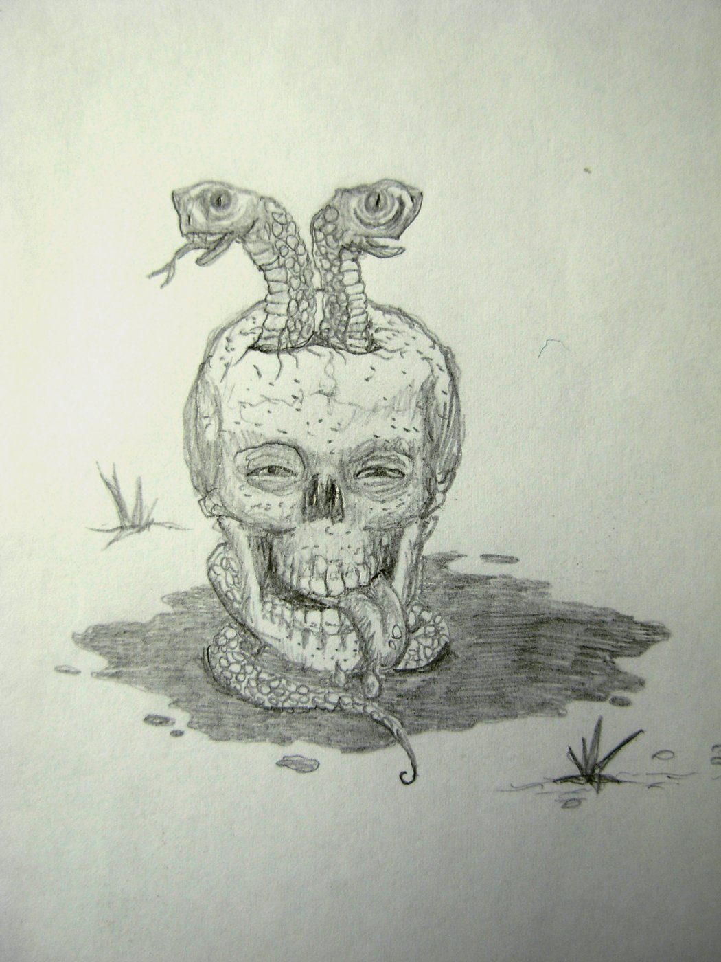 Skull with Snakes
