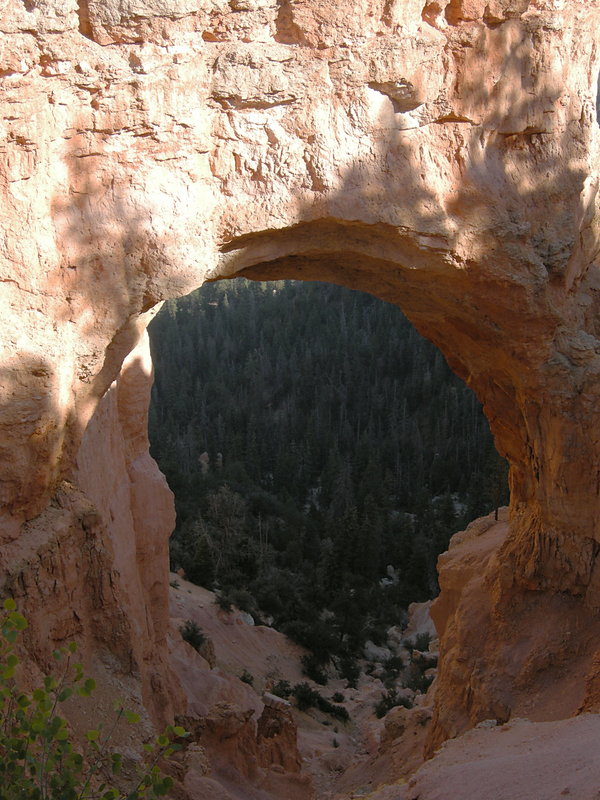 Natural Bridge