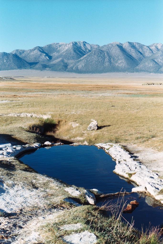 Wild Willy's Hot Spring