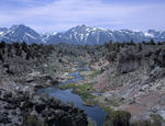 Hot Creek Geothermal Area