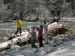 Yosemite always has tourists