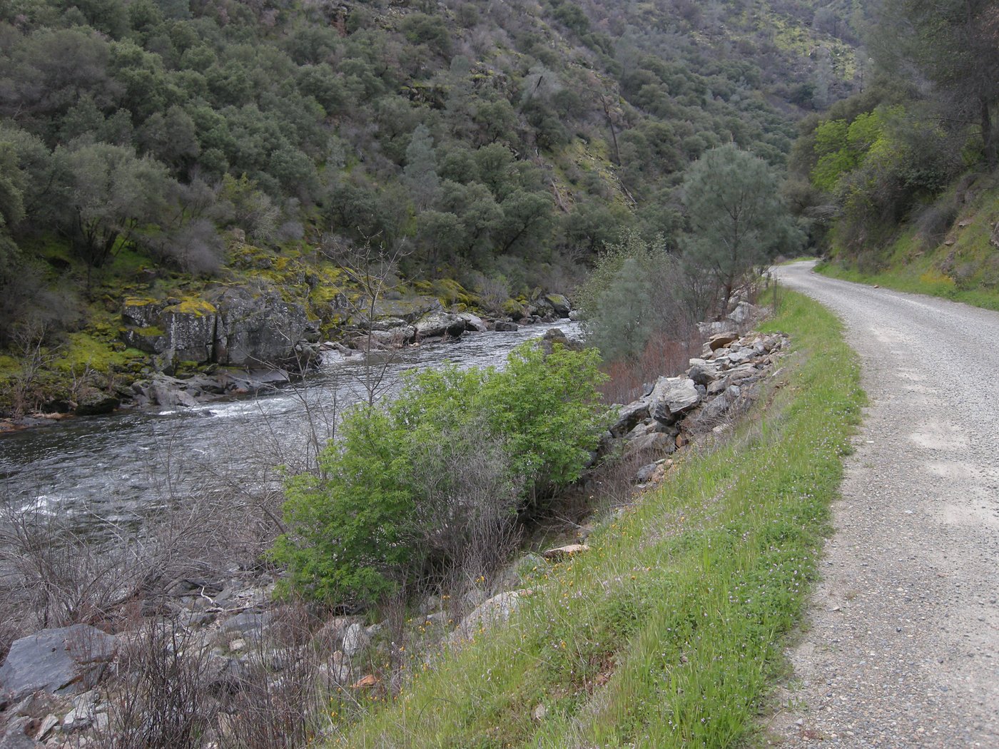 Merced River near Briceburg