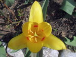 SAM_4744