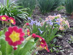 SAM_4658