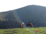 DSC01061