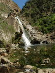 Paradise Falls, Wildwood Park