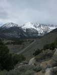 View of Lee Vining Canyon showing Highway 120 heading up to Tioga Pass