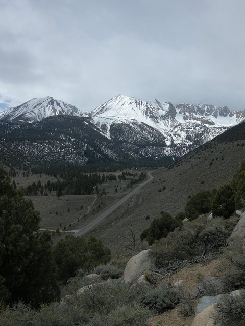 View of Lee Vining Canyon showing Highway 120 heading up to Tioga Pass
