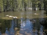 Sunrise Trail at Tenaya Creek