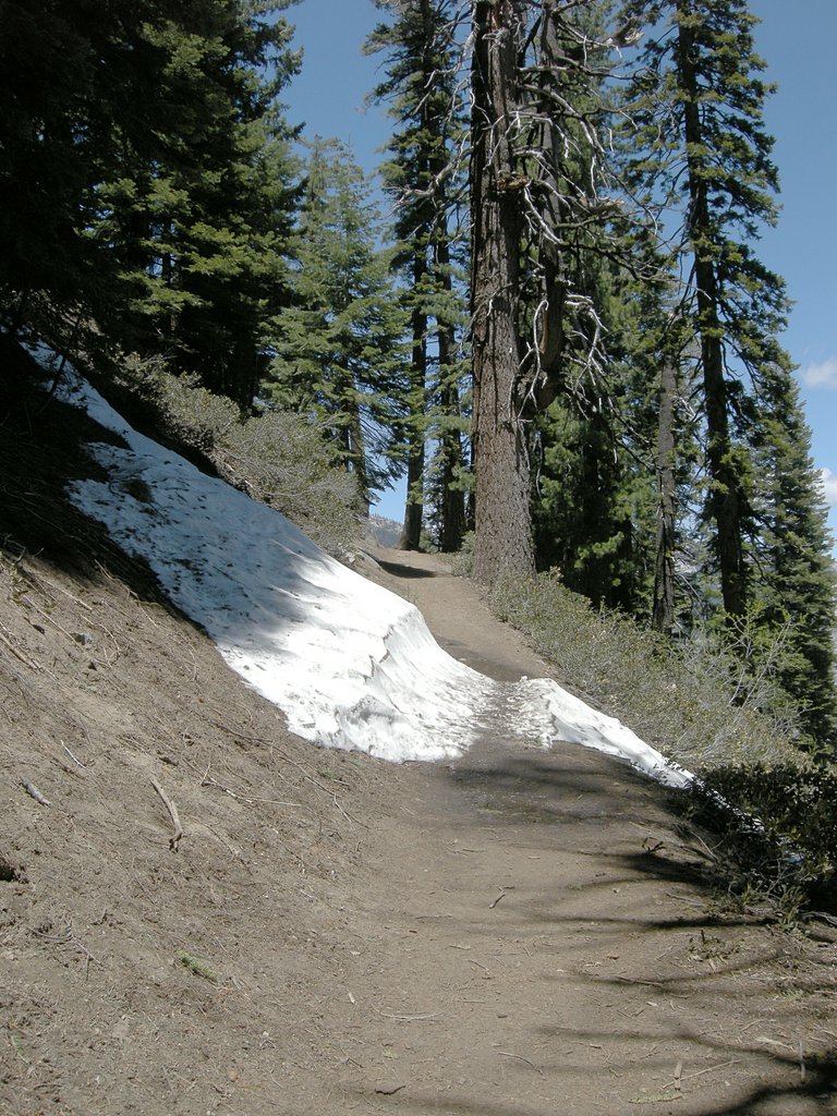 Still some snow on the Four Mile Trail