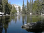 Looking upstream from Tenaya Creek towards Tenaya Lake