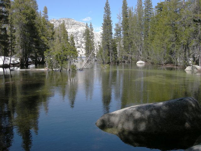 Looking upstream from Tenaya Creek towards Tenaya Lake