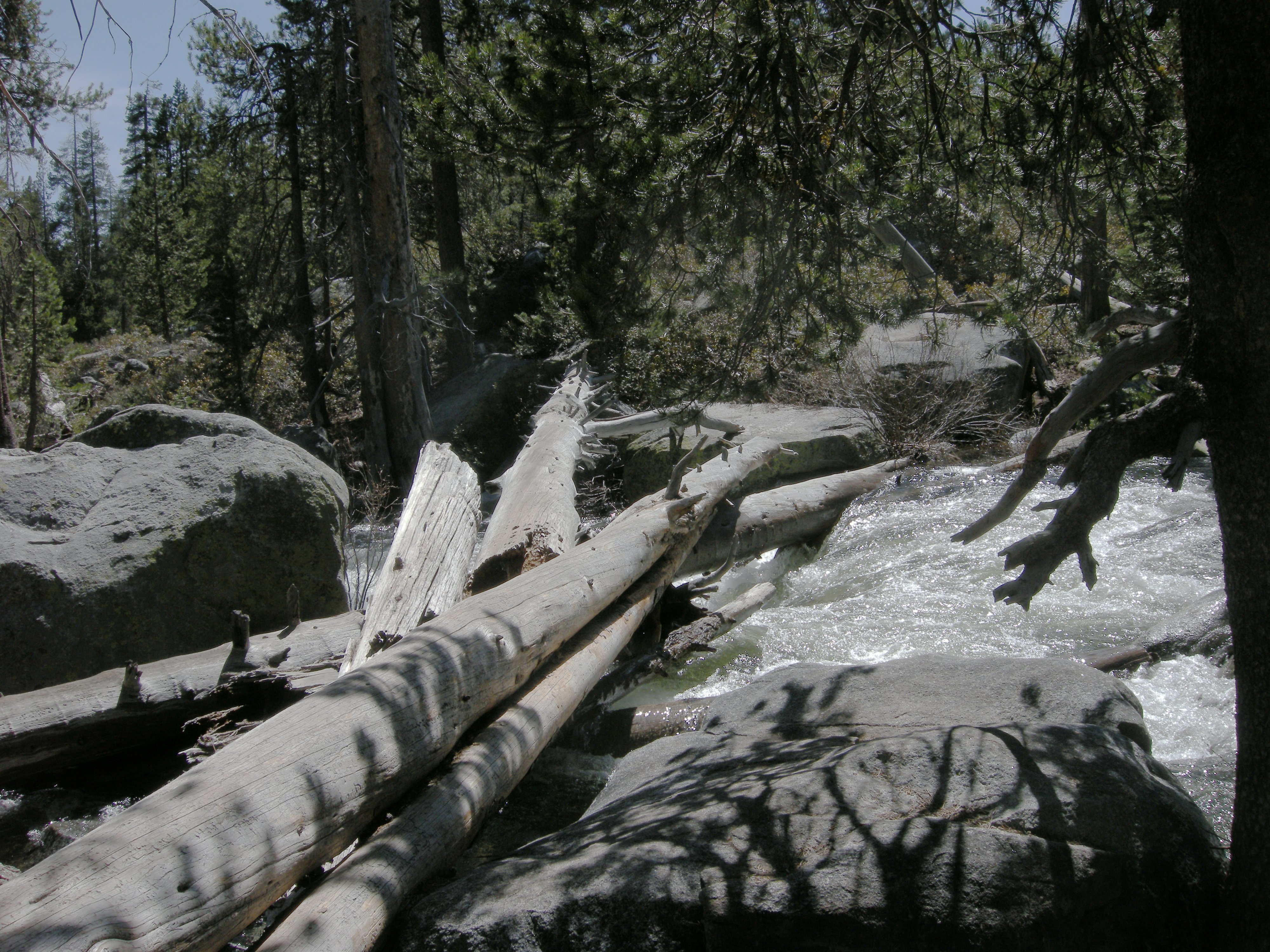 Yosemite Creek