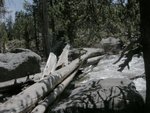 Yosemite Creek