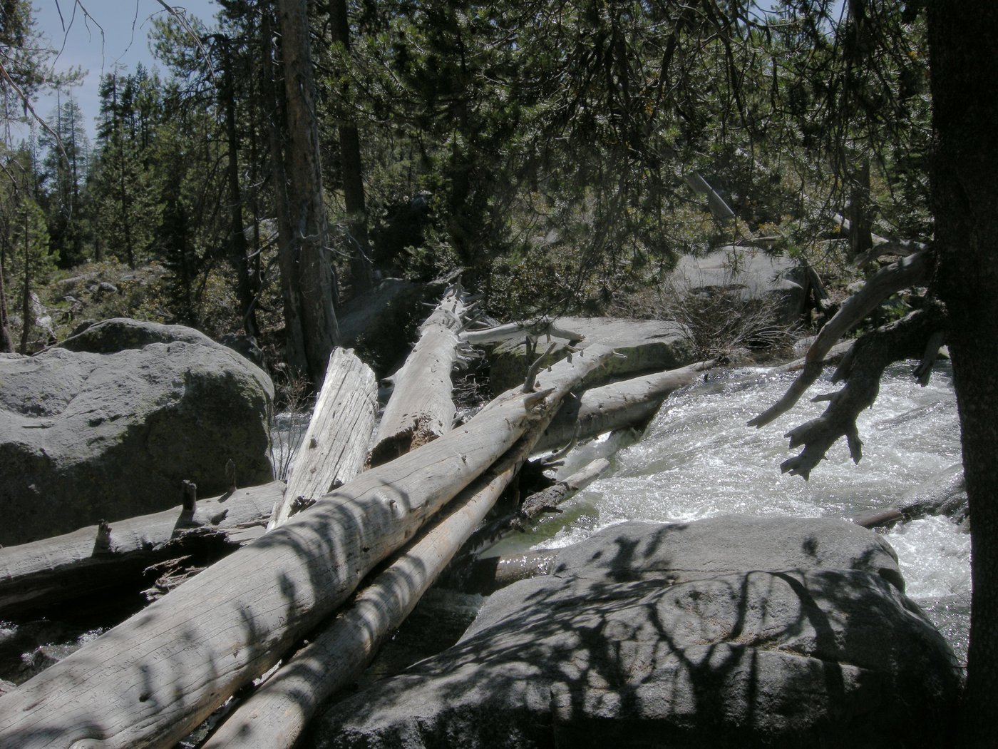 Yosemite Creek
