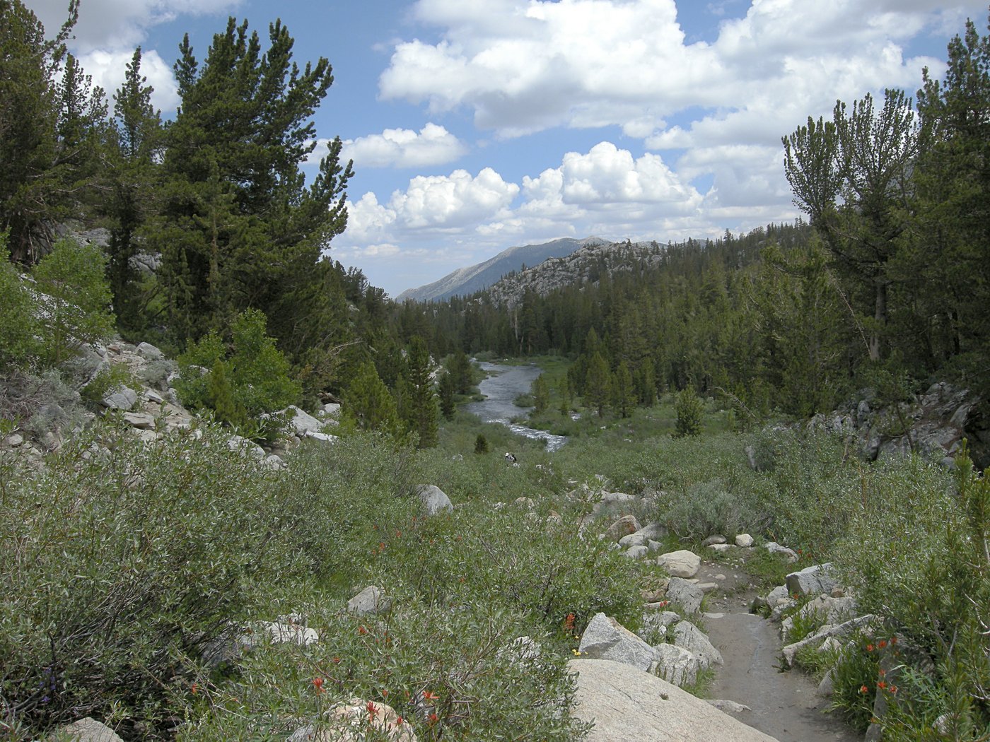 Rock Creek from the Morgan Pass Trail