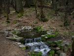 Fern Spring, Yosemite Valley