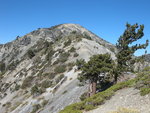 Mount Harwood from Devils Backbone