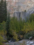 Aspen and Cliff, North Fork Lone Pine Creek