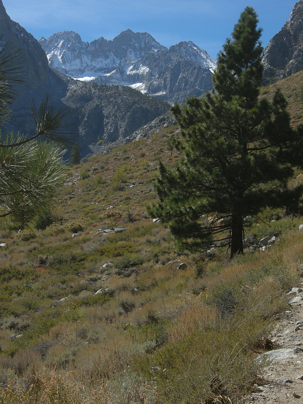 From the South Fork Trail out of Glacier Lodge