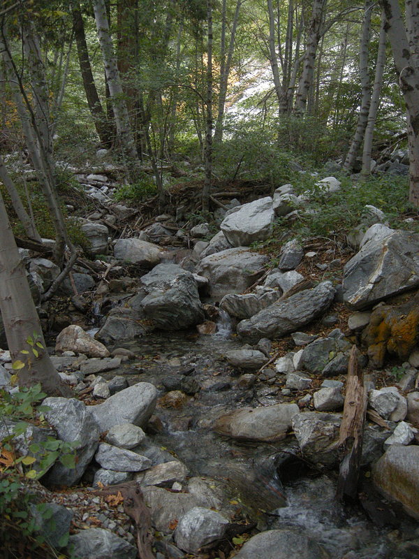 Small spring fed creek