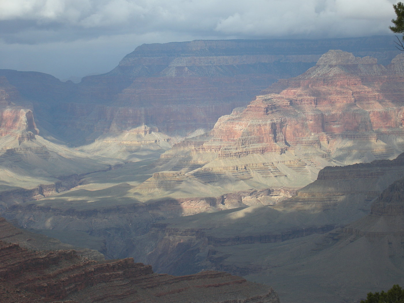 The Canyon from the Hermit Trail