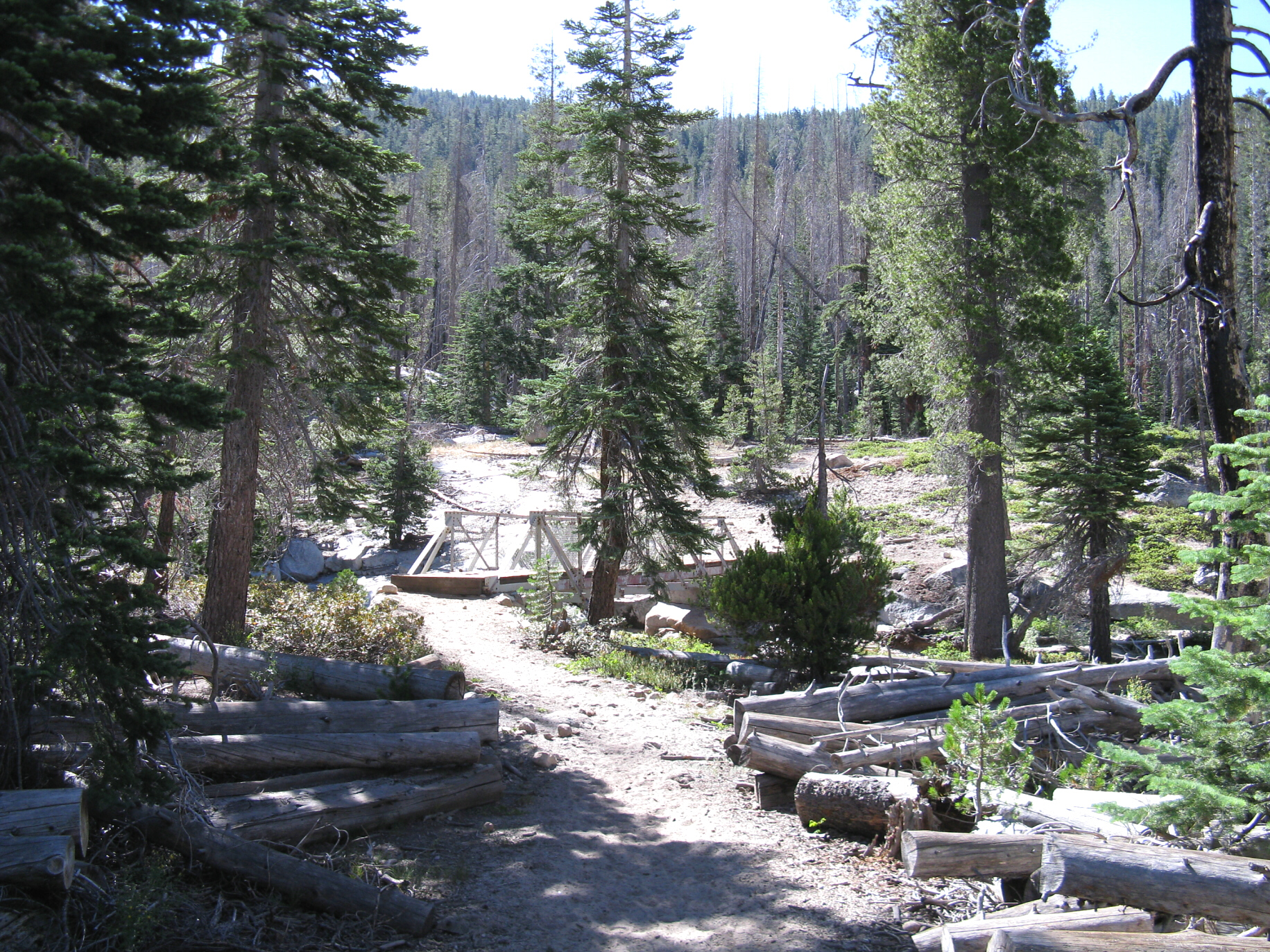 Yosemite 2010 053