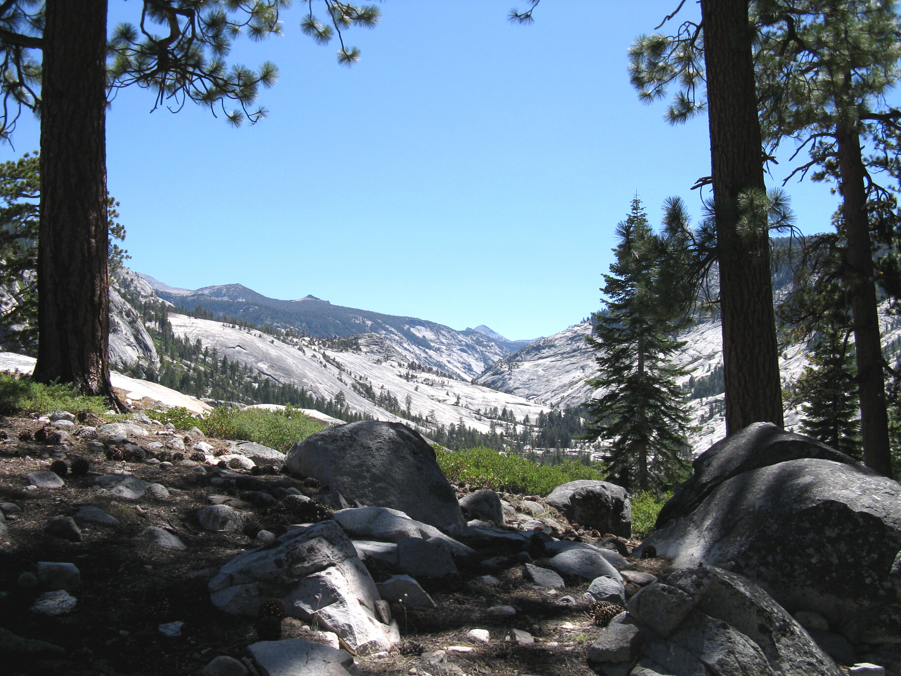 Yosemite 2010 061