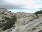 Yosemite 2010 096