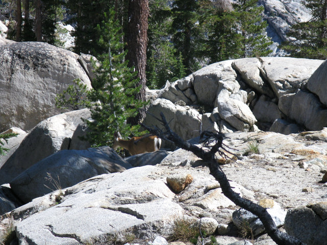 Yosemite 2010 147