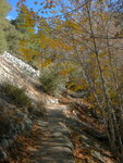 Icehouse Canyon Trail