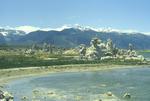 Mono Lake Tufa in 1981