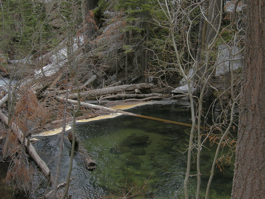 Lee Vining Creek