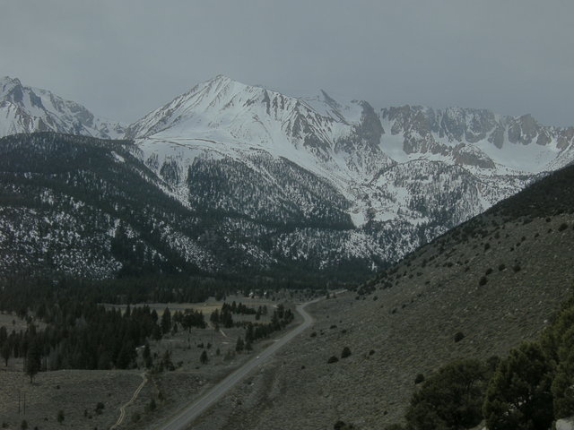 Lee Vining Canyon