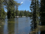 Tenaya Creek at the Sunrise Trail