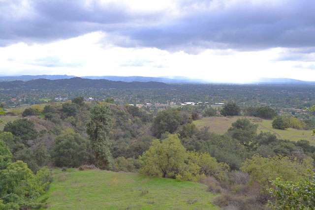 The hills are turning green