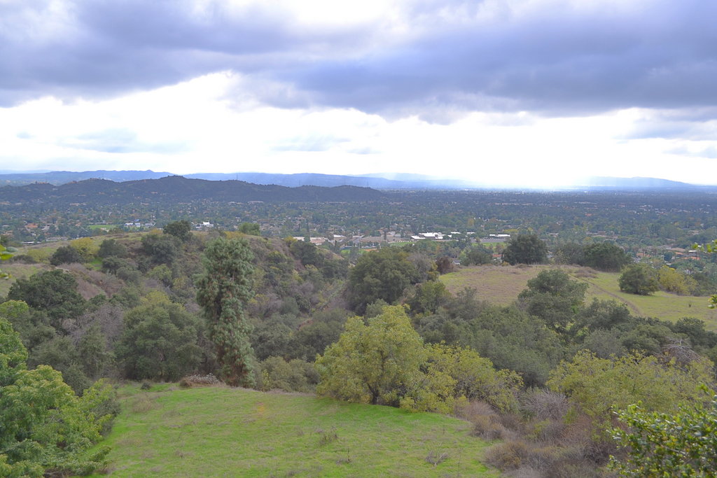 The hills are turning green