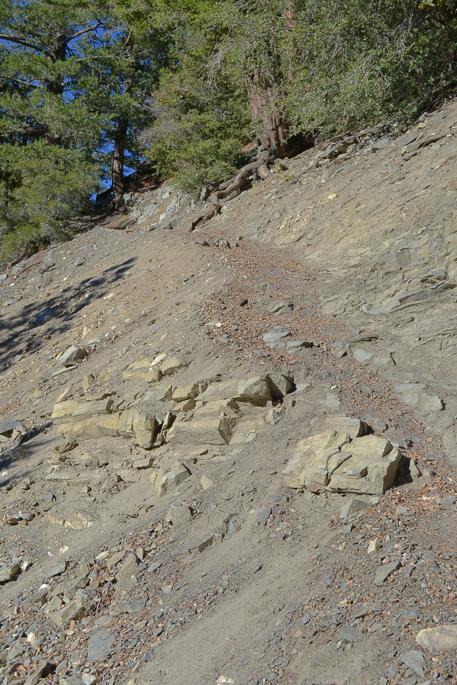 Start of the Baldy Bowl trail