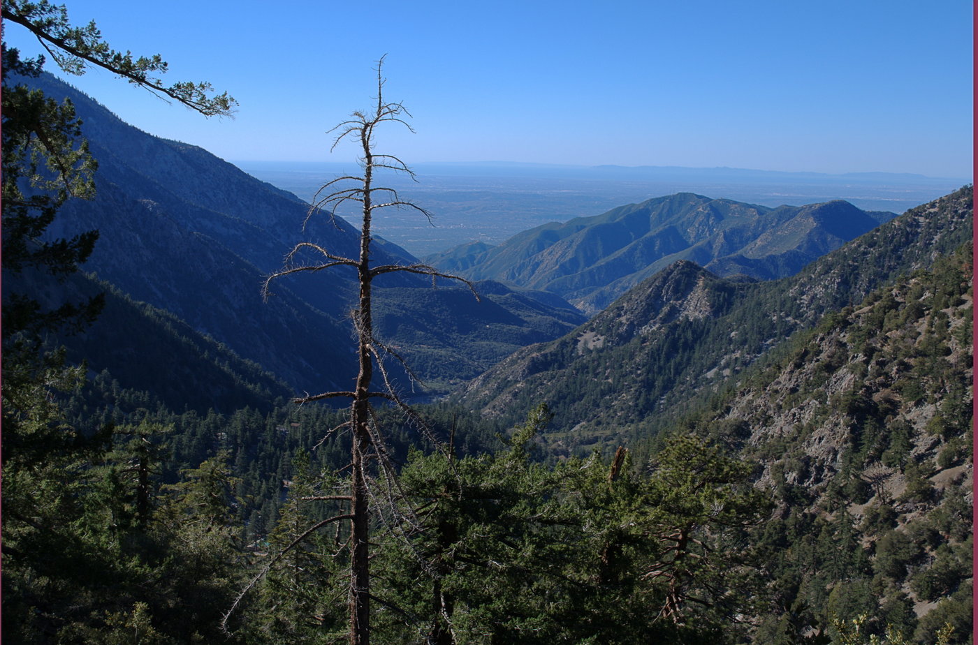 Looking down at San Antonio Canyon and the Pomona Valley