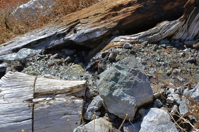 Small spring along the trail