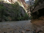 The Narrows