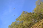 Man hanging from a helicopter