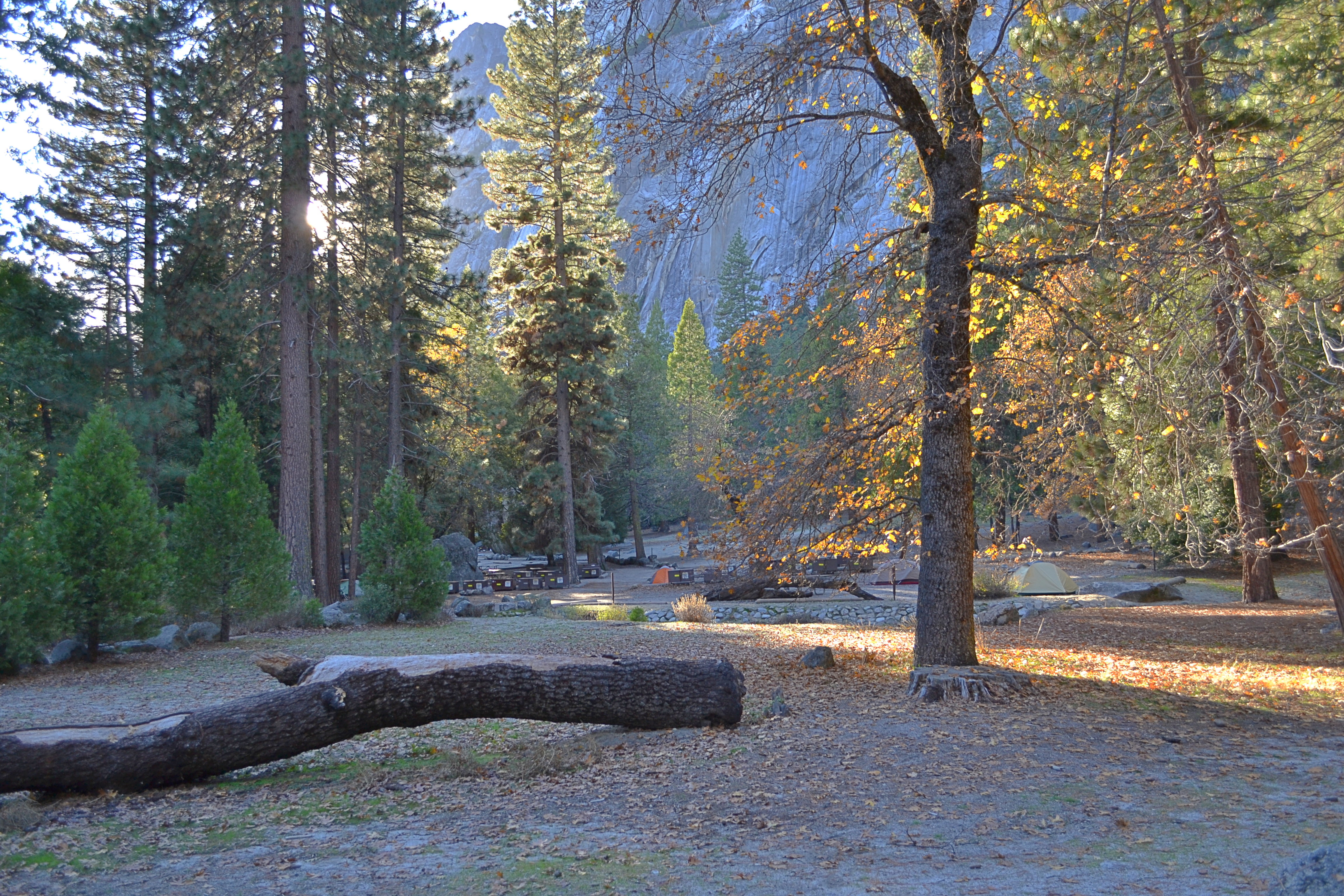Camp 4