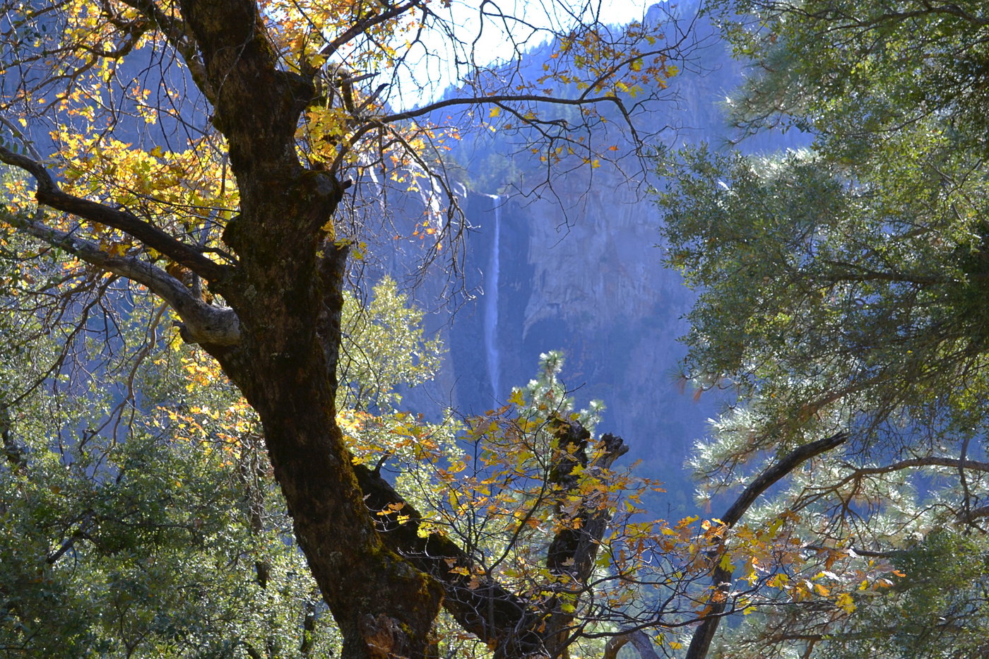 Bridalveil Fall