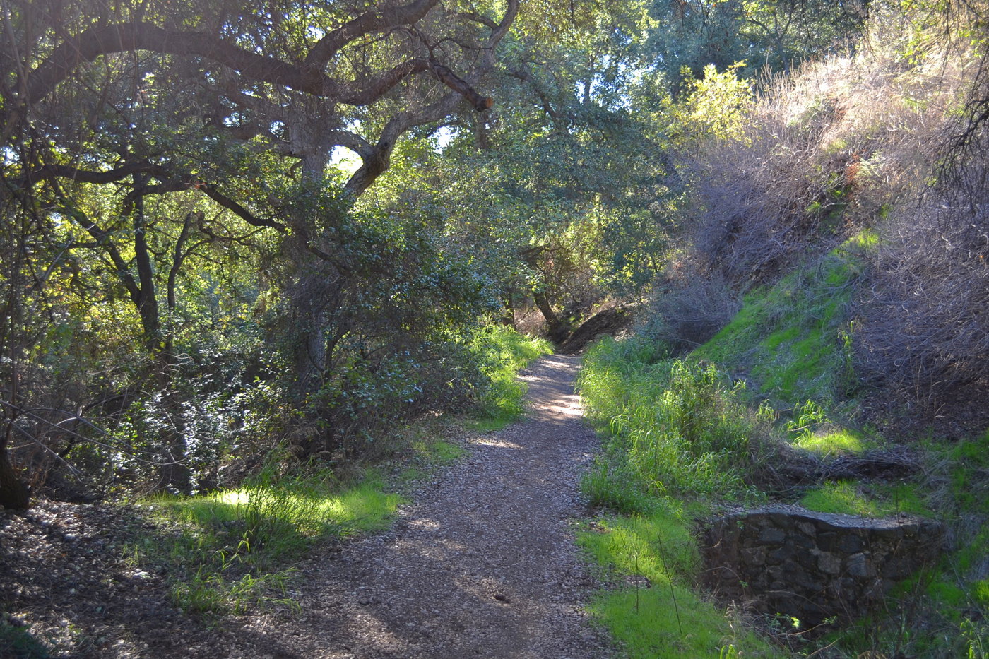 Colby Trail