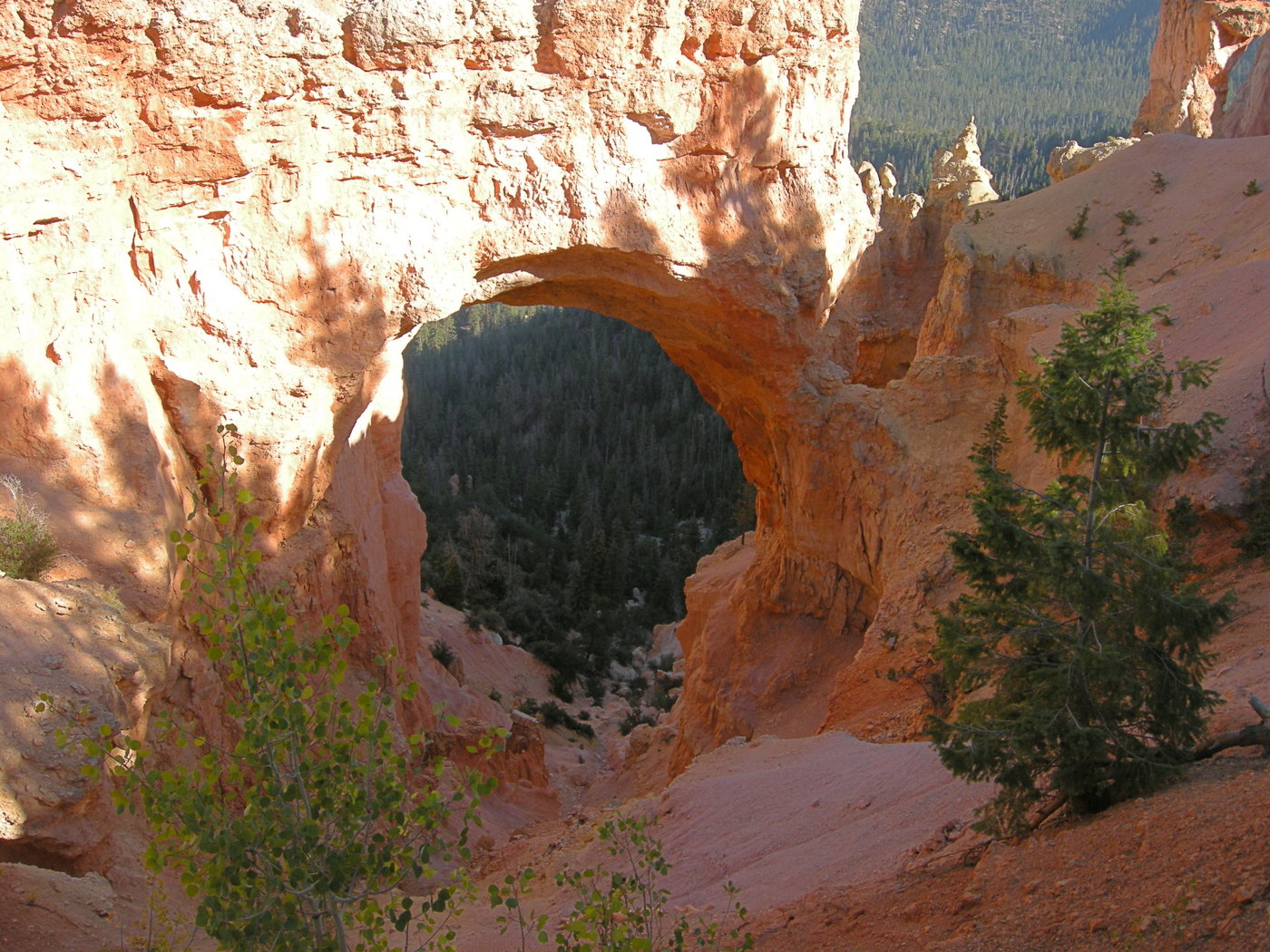 Natural Bridge