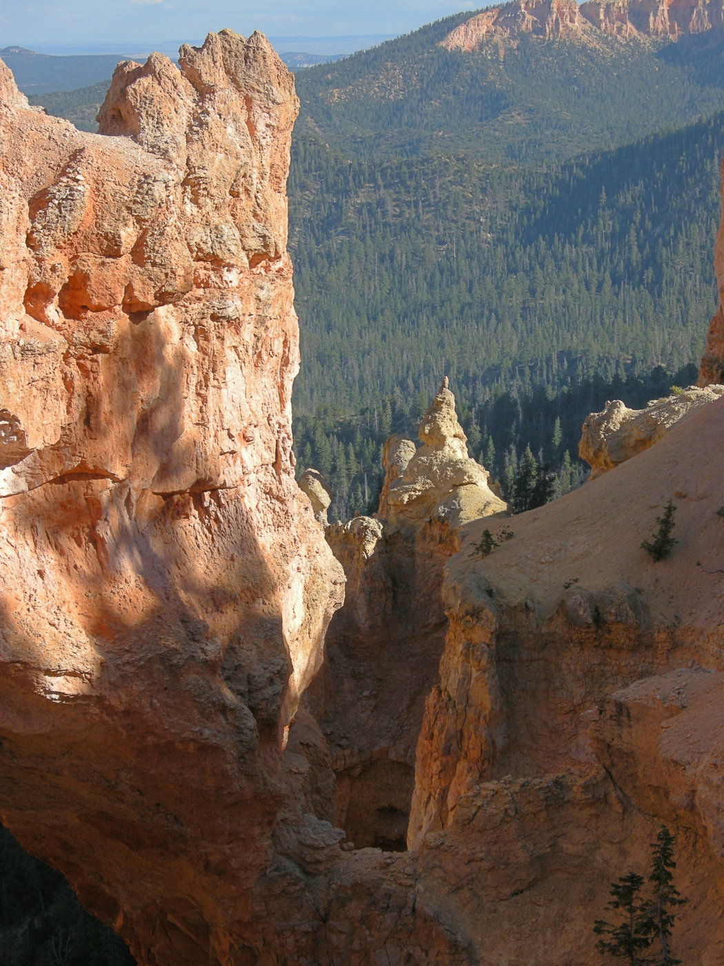 Detail of split next to the natural bridge