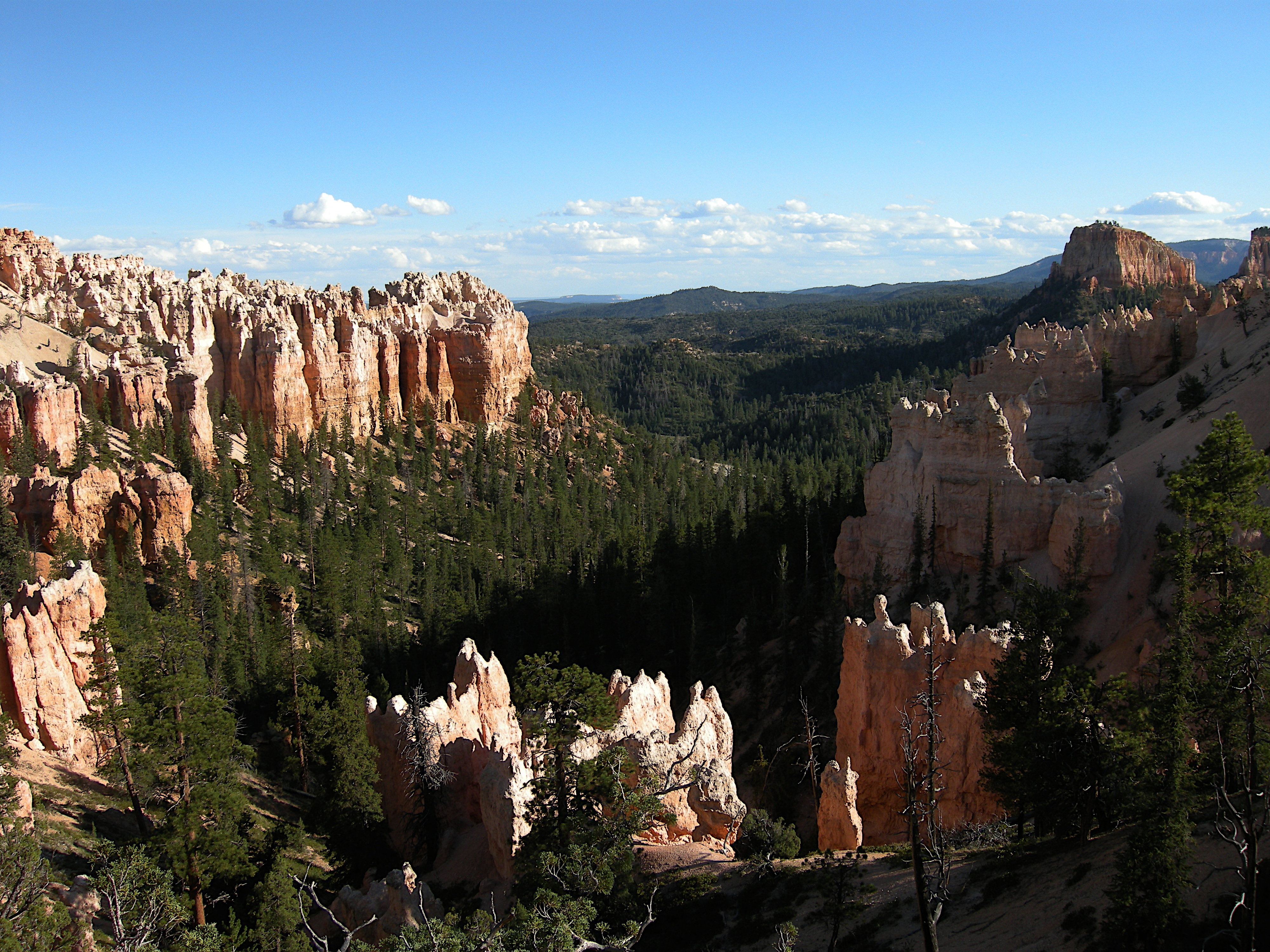 Part of the canyon